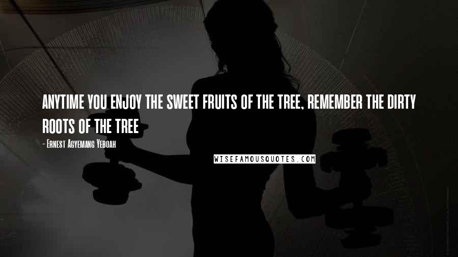 Ernest Agyemang Yeboah Quotes: anytime you enjoy the sweet fruits of the tree, remember the dirty roots of the tree