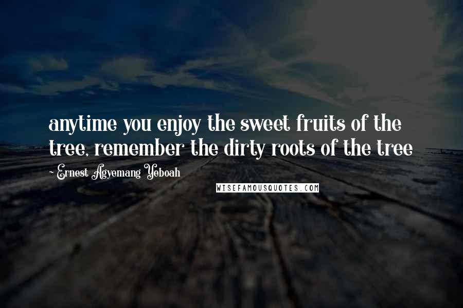 Ernest Agyemang Yeboah Quotes: anytime you enjoy the sweet fruits of the tree, remember the dirty roots of the tree