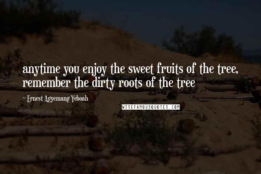 Ernest Agyemang Yeboah Quotes: anytime you enjoy the sweet fruits of the tree, remember the dirty roots of the tree