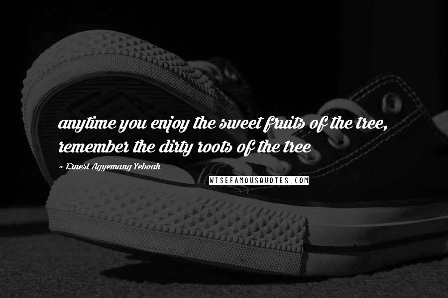 Ernest Agyemang Yeboah Quotes: anytime you enjoy the sweet fruits of the tree, remember the dirty roots of the tree