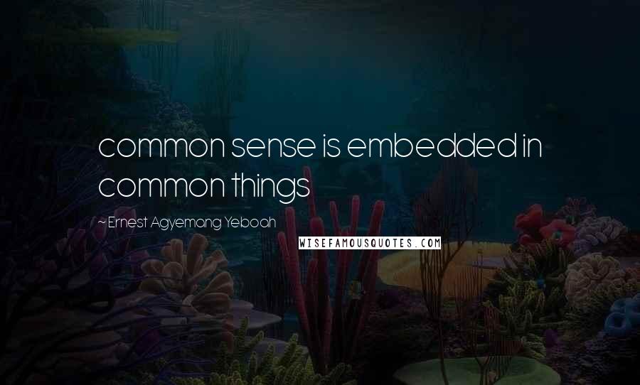 Ernest Agyemang Yeboah Quotes: common sense is embedded in common things