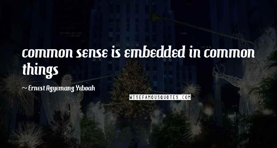Ernest Agyemang Yeboah Quotes: common sense is embedded in common things