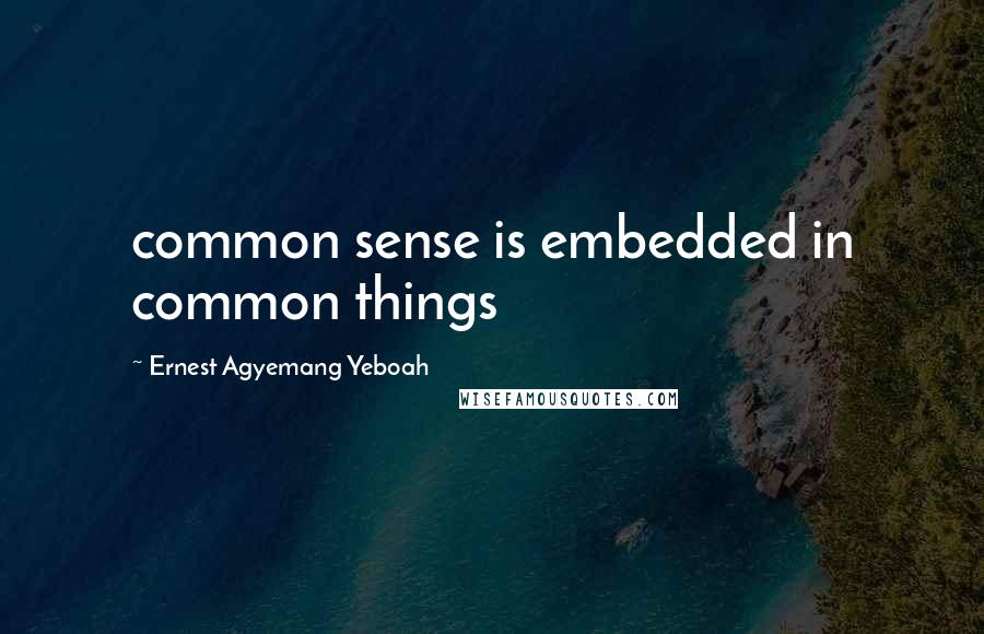 Ernest Agyemang Yeboah Quotes: common sense is embedded in common things