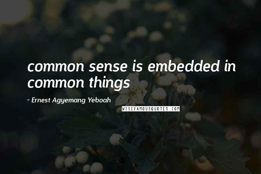 Ernest Agyemang Yeboah Quotes: common sense is embedded in common things