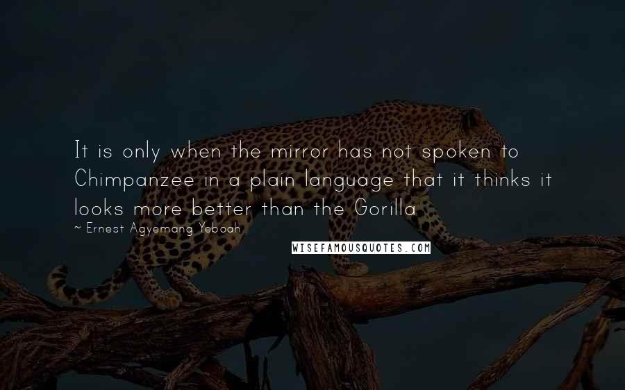 Ernest Agyemang Yeboah Quotes: It is only when the mirror has not spoken to Chimpanzee in a plain language that it thinks it looks more better than the Gorilla