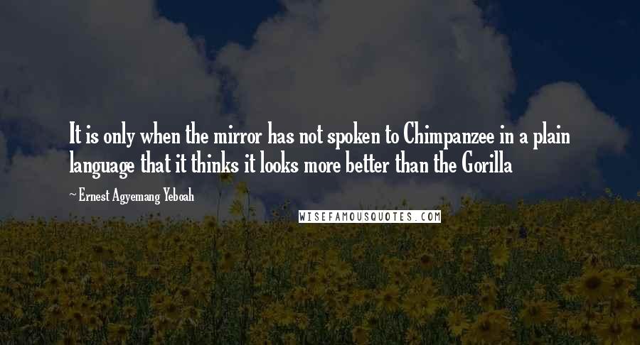 Ernest Agyemang Yeboah Quotes: It is only when the mirror has not spoken to Chimpanzee in a plain language that it thinks it looks more better than the Gorilla