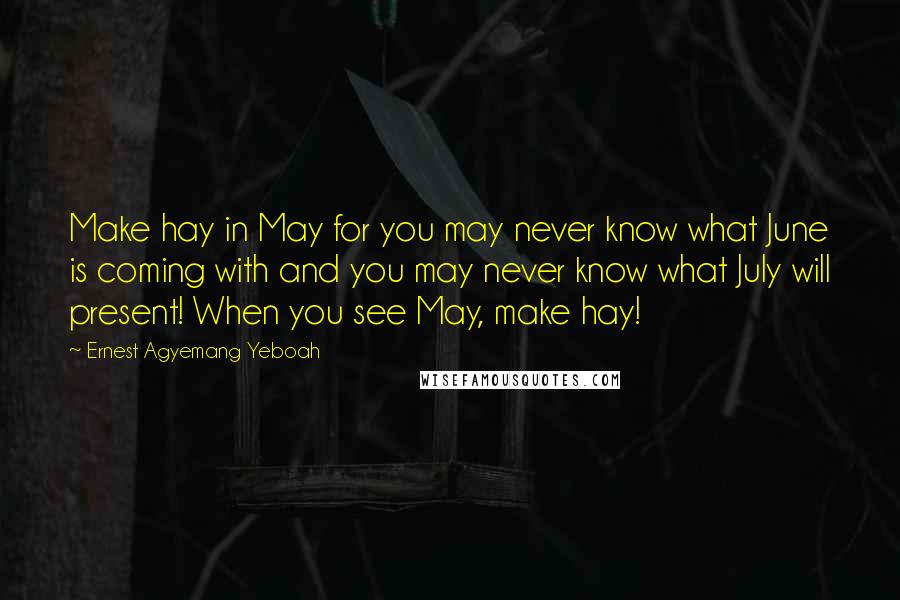 Ernest Agyemang Yeboah Quotes: Make hay in May for you may never know what June is coming with and you may never know what July will present! When you see May, make hay!