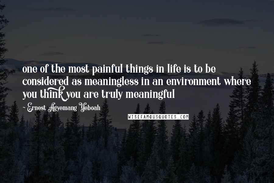 Ernest Agyemang Yeboah Quotes: one of the most painful things in life is to be considered as meaningless in an environment where you think you are truly meaningful