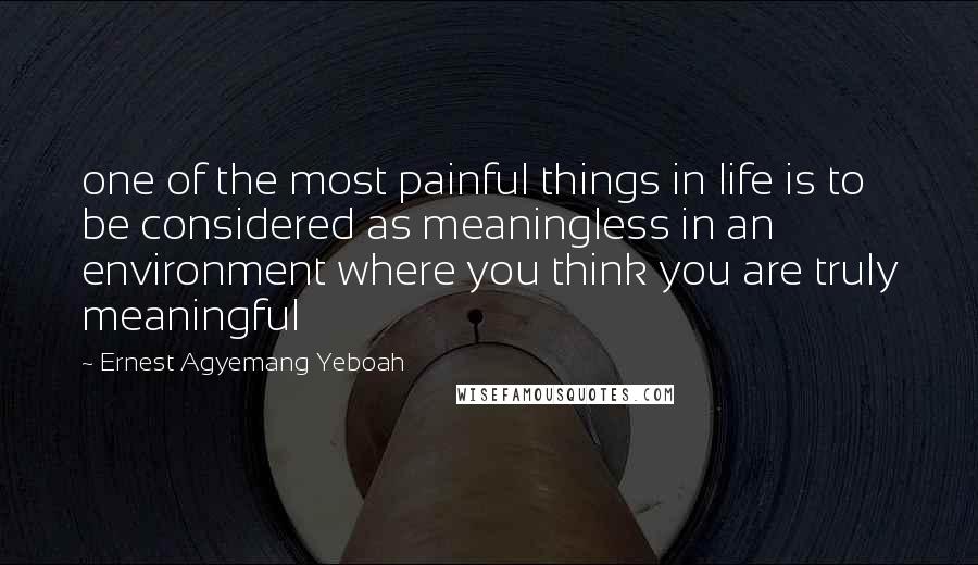 Ernest Agyemang Yeboah Quotes: one of the most painful things in life is to be considered as meaningless in an environment where you think you are truly meaningful