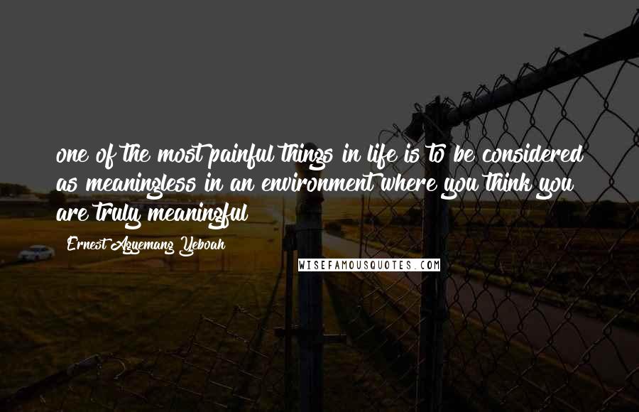 Ernest Agyemang Yeboah Quotes: one of the most painful things in life is to be considered as meaningless in an environment where you think you are truly meaningful