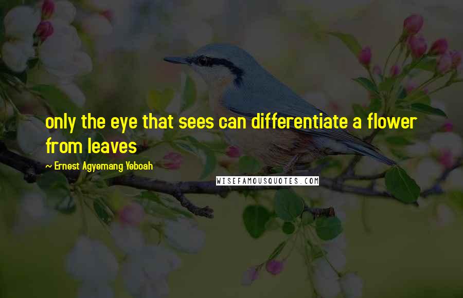 Ernest Agyemang Yeboah Quotes: only the eye that sees can differentiate a flower from leaves