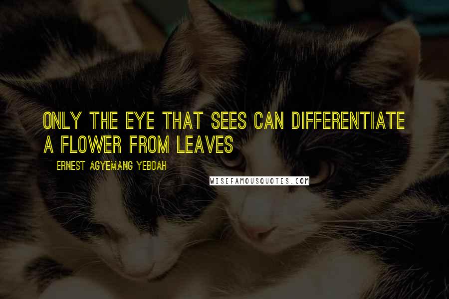 Ernest Agyemang Yeboah Quotes: only the eye that sees can differentiate a flower from leaves