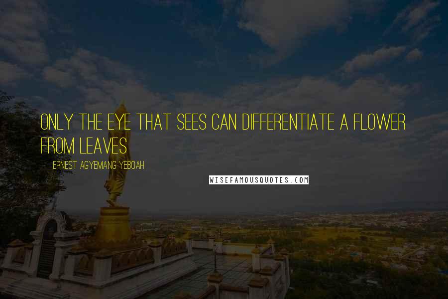 Ernest Agyemang Yeboah Quotes: only the eye that sees can differentiate a flower from leaves