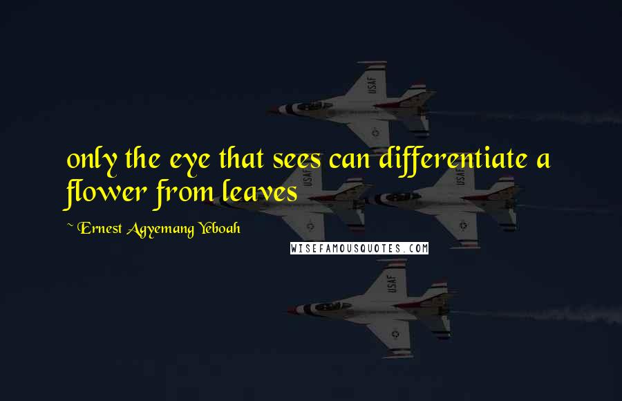 Ernest Agyemang Yeboah Quotes: only the eye that sees can differentiate a flower from leaves