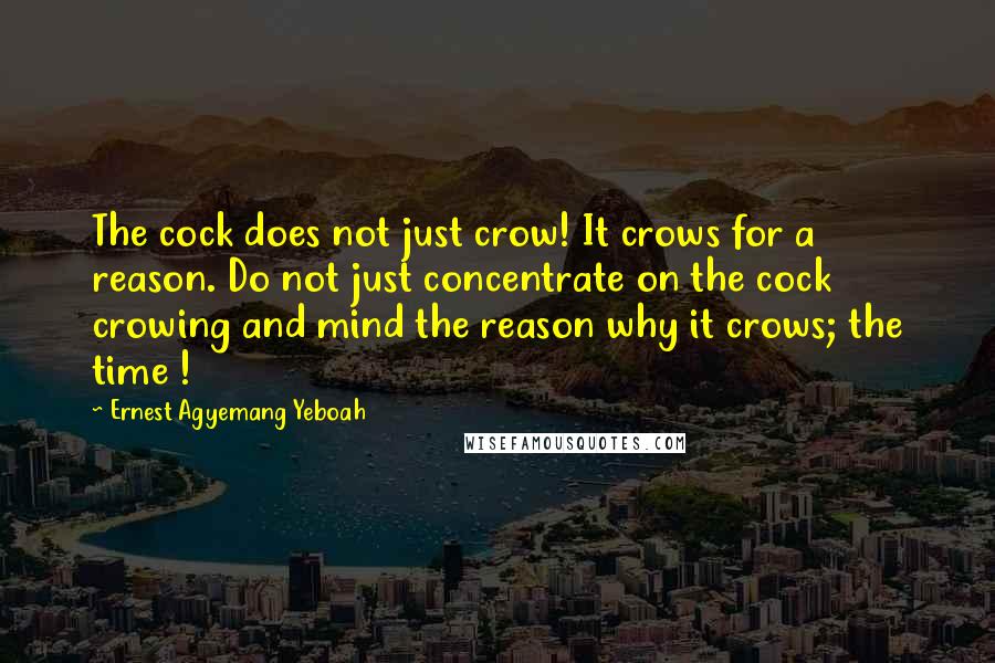 Ernest Agyemang Yeboah Quotes: The cock does not just crow! It crows for a reason. Do not just concentrate on the cock crowing and mind the reason why it crows; the time !