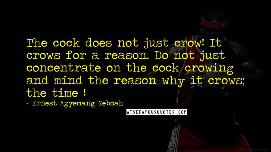 Ernest Agyemang Yeboah Quotes: The cock does not just crow! It crows for a reason. Do not just concentrate on the cock crowing and mind the reason why it crows; the time !