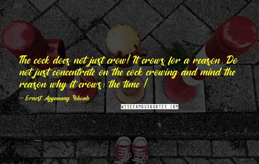 Ernest Agyemang Yeboah Quotes: The cock does not just crow! It crows for a reason. Do not just concentrate on the cock crowing and mind the reason why it crows; the time !