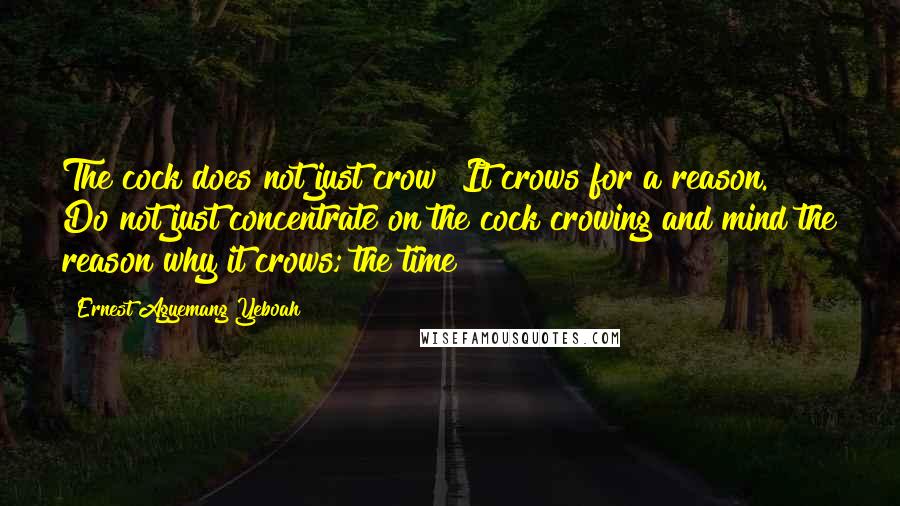 Ernest Agyemang Yeboah Quotes: The cock does not just crow! It crows for a reason. Do not just concentrate on the cock crowing and mind the reason why it crows; the time !