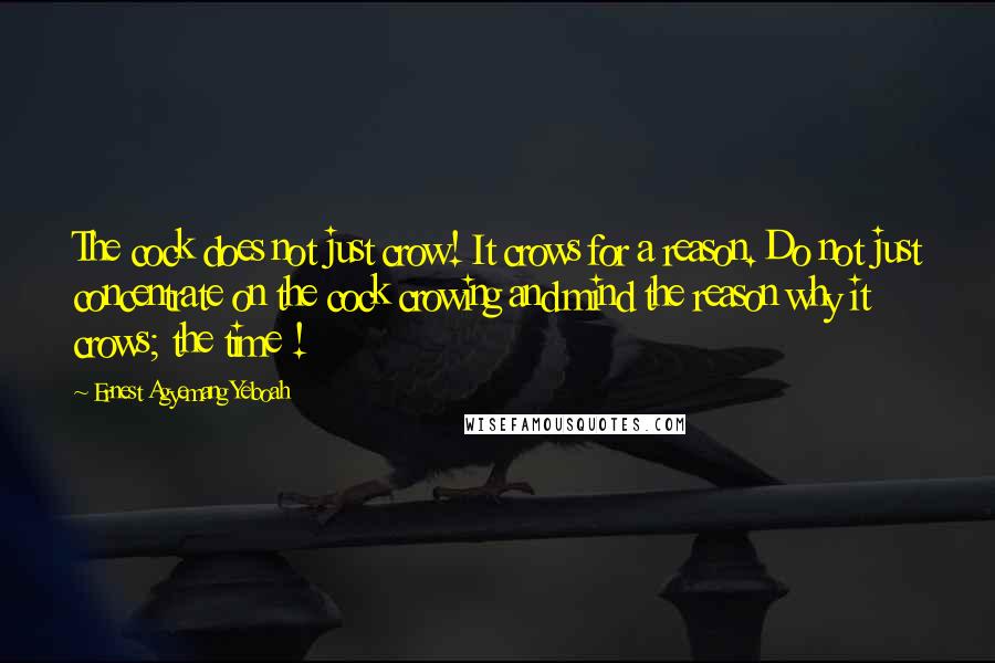 Ernest Agyemang Yeboah Quotes: The cock does not just crow! It crows for a reason. Do not just concentrate on the cock crowing and mind the reason why it crows; the time !