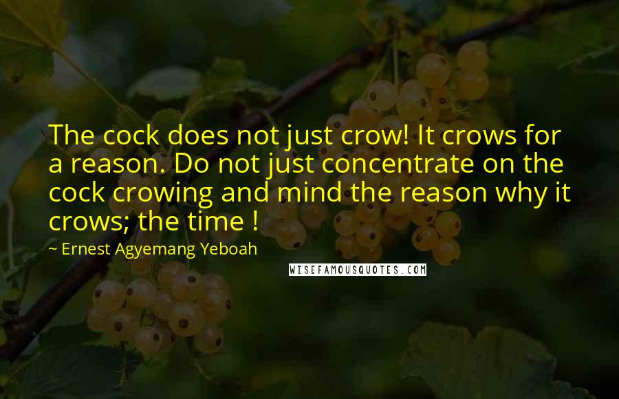 Ernest Agyemang Yeboah Quotes: The cock does not just crow! It crows for a reason. Do not just concentrate on the cock crowing and mind the reason why it crows; the time !