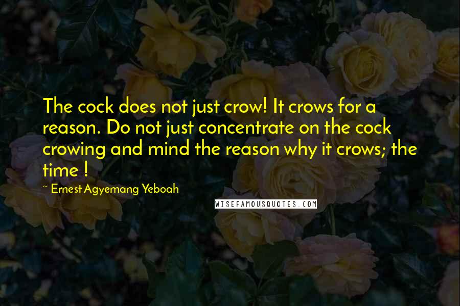 Ernest Agyemang Yeboah Quotes: The cock does not just crow! It crows for a reason. Do not just concentrate on the cock crowing and mind the reason why it crows; the time !