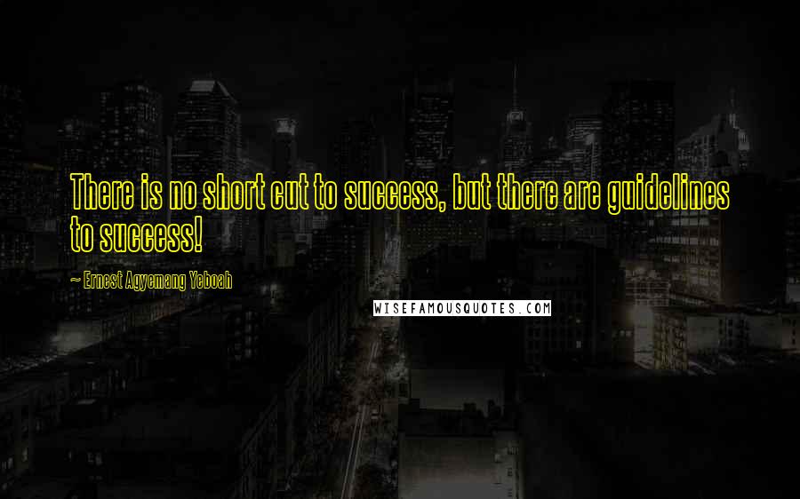 Ernest Agyemang Yeboah Quotes: There is no short cut to success, but there are guidelines to success!