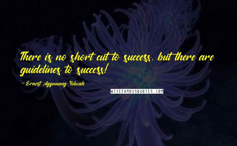 Ernest Agyemang Yeboah Quotes: There is no short cut to success, but there are guidelines to success!