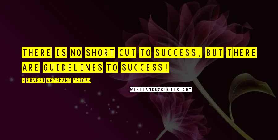 Ernest Agyemang Yeboah Quotes: There is no short cut to success, but there are guidelines to success!