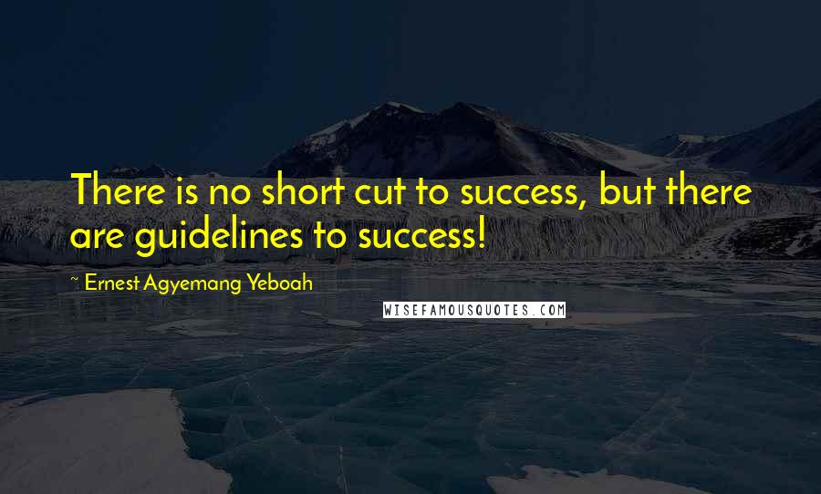 Ernest Agyemang Yeboah Quotes: There is no short cut to success, but there are guidelines to success!