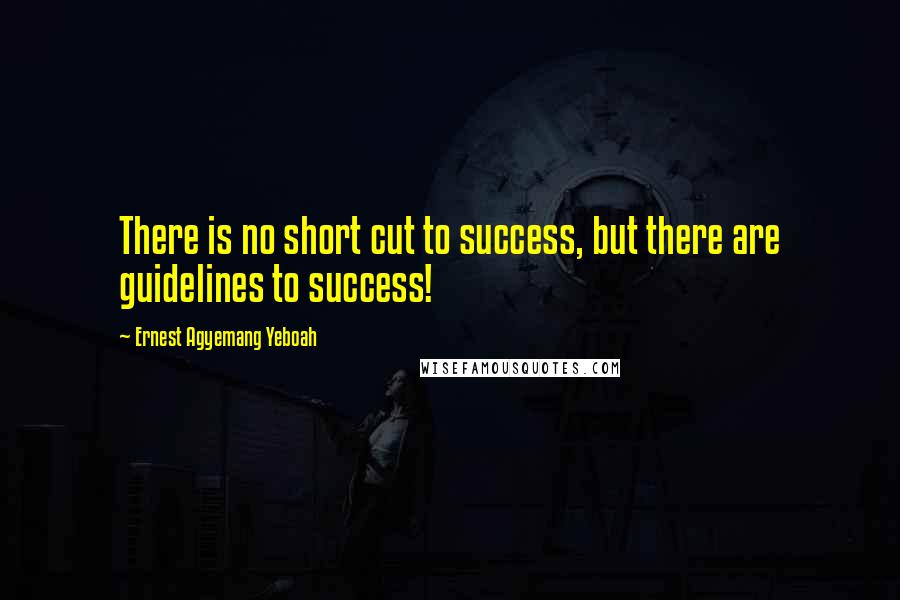 Ernest Agyemang Yeboah Quotes: There is no short cut to success, but there are guidelines to success!