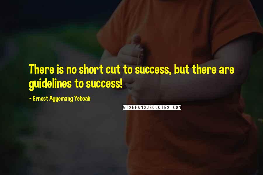 Ernest Agyemang Yeboah Quotes: There is no short cut to success, but there are guidelines to success!