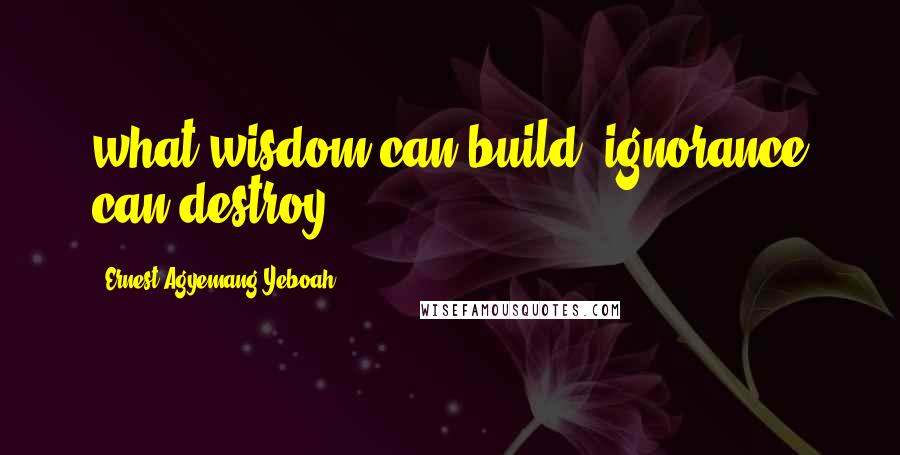 Ernest Agyemang Yeboah Quotes: what wisdom can build, ignorance can destroy