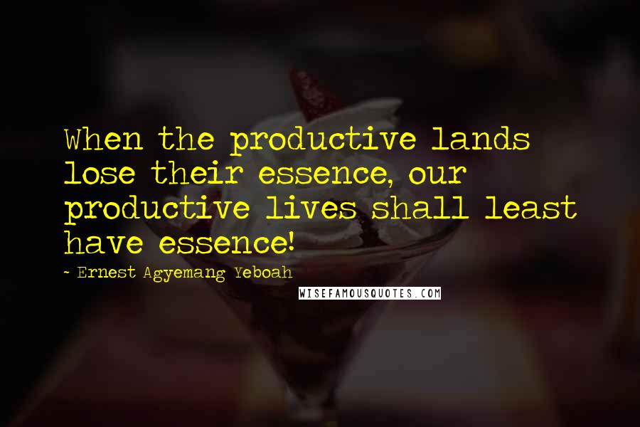 Ernest Agyemang Yeboah Quotes: When the productive lands lose their essence, our productive lives shall least have essence!