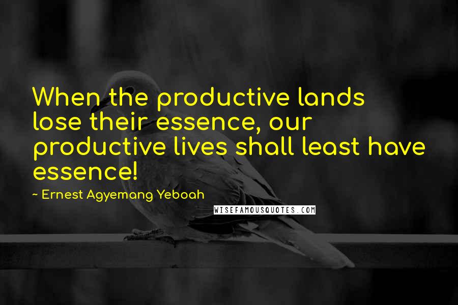 Ernest Agyemang Yeboah Quotes: When the productive lands lose their essence, our productive lives shall least have essence!