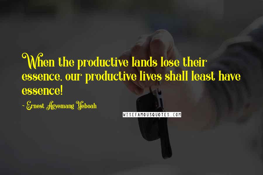 Ernest Agyemang Yeboah Quotes: When the productive lands lose their essence, our productive lives shall least have essence!