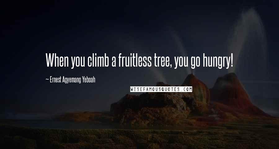 Ernest Agyemang Yeboah Quotes: When you climb a fruitless tree, you go hungry!