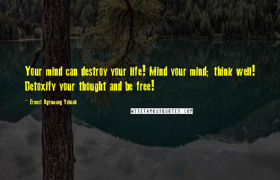 Ernest Agyemang Yeboah Quotes: Your mind can destroy your life! Mind your mind; think well! Detoxify your thought and be free!