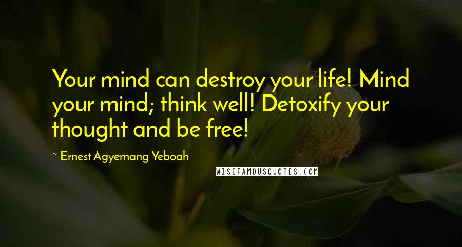 Ernest Agyemang Yeboah Quotes: Your mind can destroy your life! Mind your mind; think well! Detoxify your thought and be free!