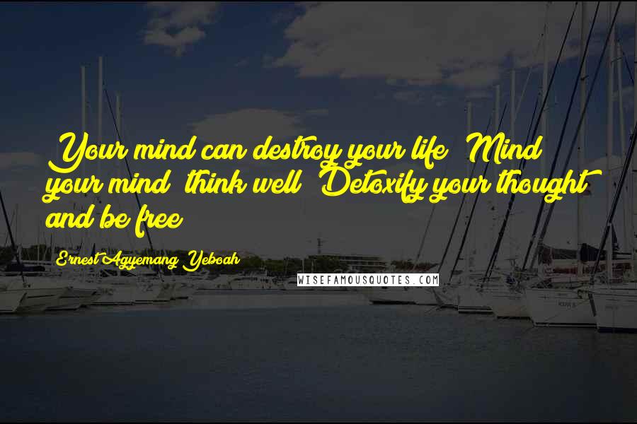 Ernest Agyemang Yeboah Quotes: Your mind can destroy your life! Mind your mind; think well! Detoxify your thought and be free!