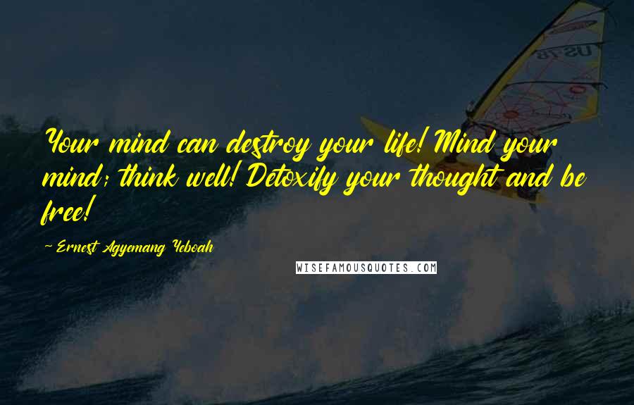 Ernest Agyemang Yeboah Quotes: Your mind can destroy your life! Mind your mind; think well! Detoxify your thought and be free!