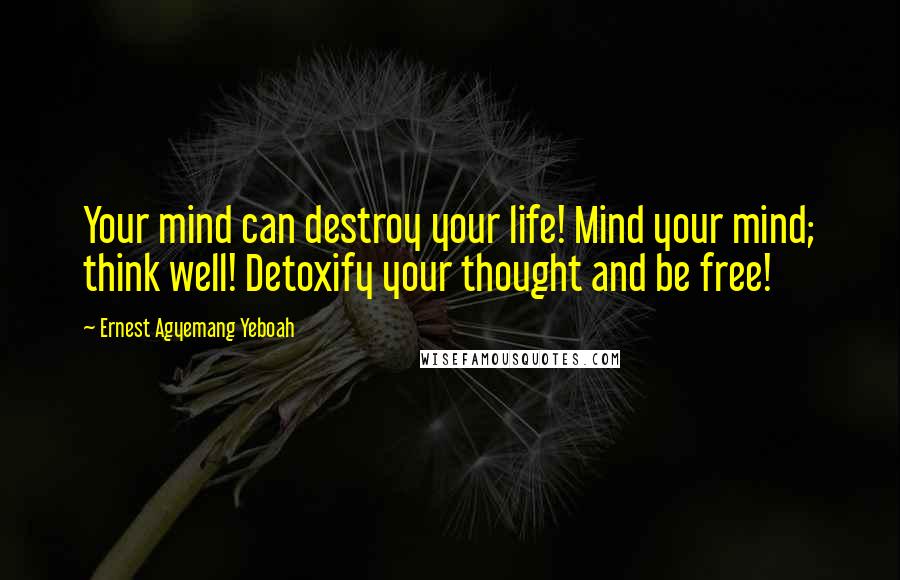 Ernest Agyemang Yeboah Quotes: Your mind can destroy your life! Mind your mind; think well! Detoxify your thought and be free!