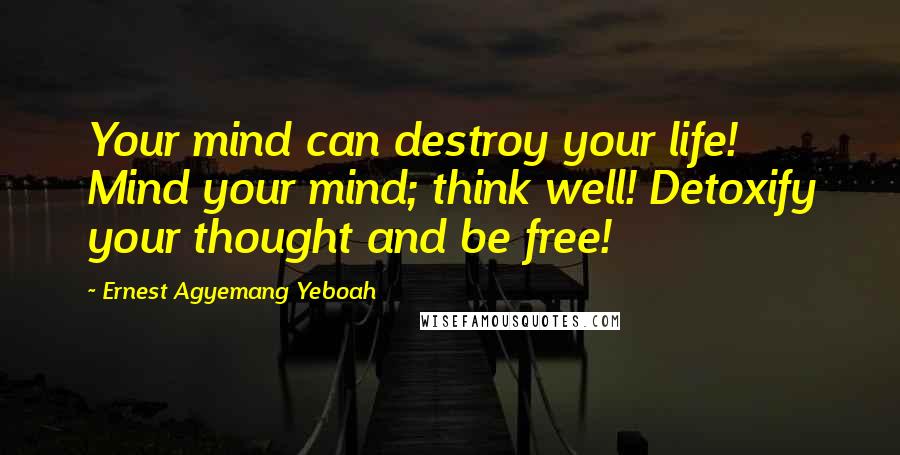 Ernest Agyemang Yeboah Quotes: Your mind can destroy your life! Mind your mind; think well! Detoxify your thought and be free!