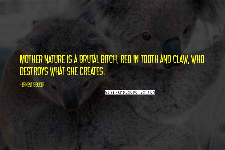 Ernest Becker Quotes: Mother nature is a brutal bitch, red in tooth and claw, who destroys what she creates.