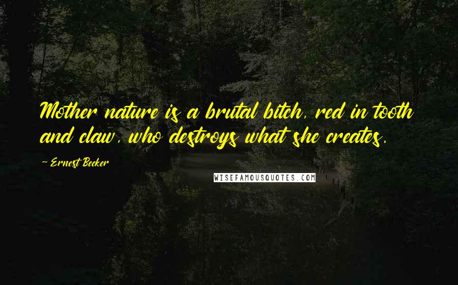 Ernest Becker Quotes: Mother nature is a brutal bitch, red in tooth and claw, who destroys what she creates.