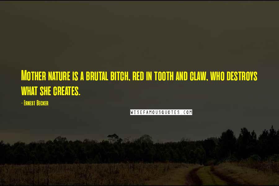 Ernest Becker Quotes: Mother nature is a brutal bitch, red in tooth and claw, who destroys what she creates.