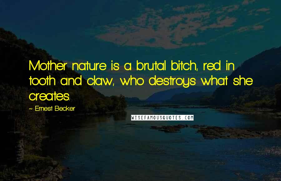 Ernest Becker Quotes: Mother nature is a brutal bitch, red in tooth and claw, who destroys what she creates.