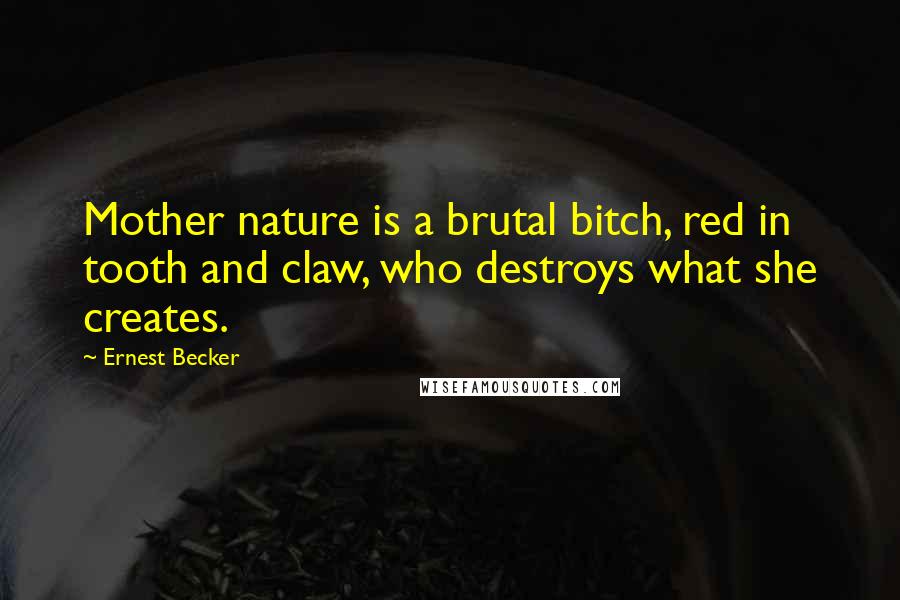 Ernest Becker Quotes: Mother nature is a brutal bitch, red in tooth and claw, who destroys what she creates.