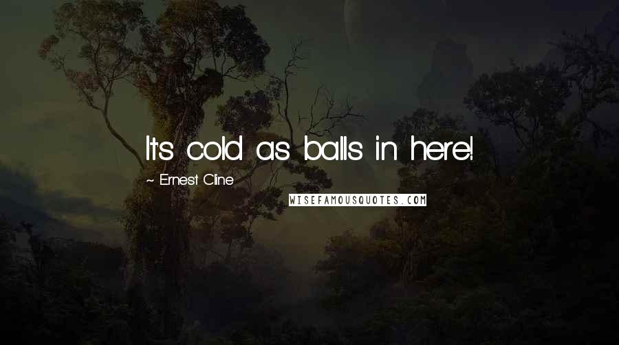 Ernest Cline Quotes: It's cold as balls in here!