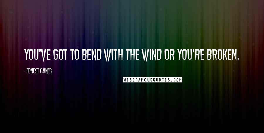 Ernest Gaines Quotes: You've got to bend with the wind or you're broken.