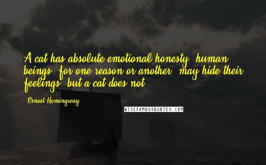 Ernest Hemingway, Quotes: A cat has absolute emotional honesty: human beings, for one reason or another, may hide their feelings, but a cat does not.